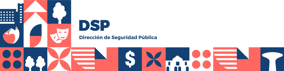 Seguridad Pública